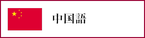 中国語オンラインレッスン